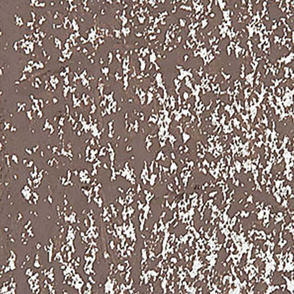 Caran d'Ache Neopastel Vandycke Brown 045
