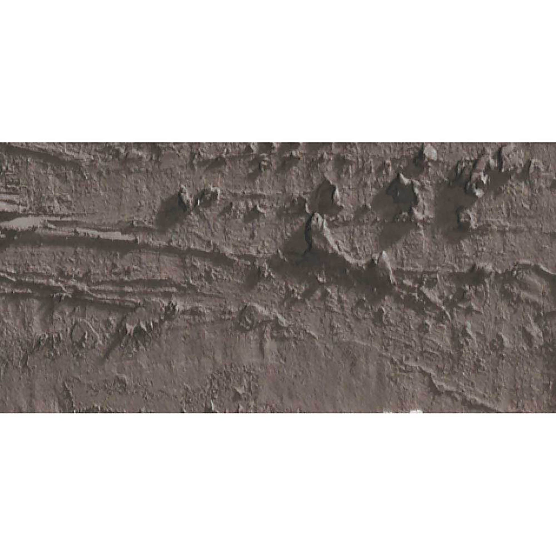 Caran d'Ache Neopastel Vandycke Brown 045