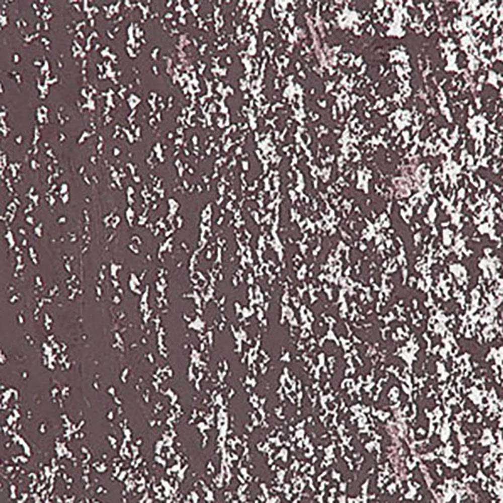 Caran d'Ache Neopastel Bistre 047