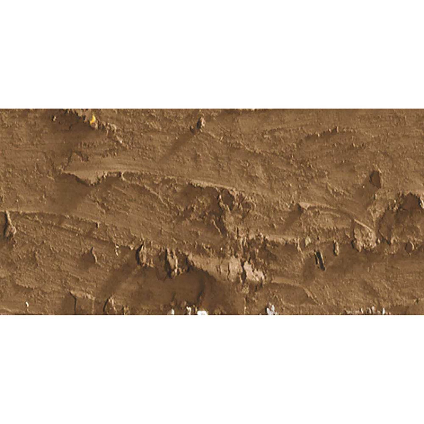 Caran d'Ache Neopastel Bistre 047