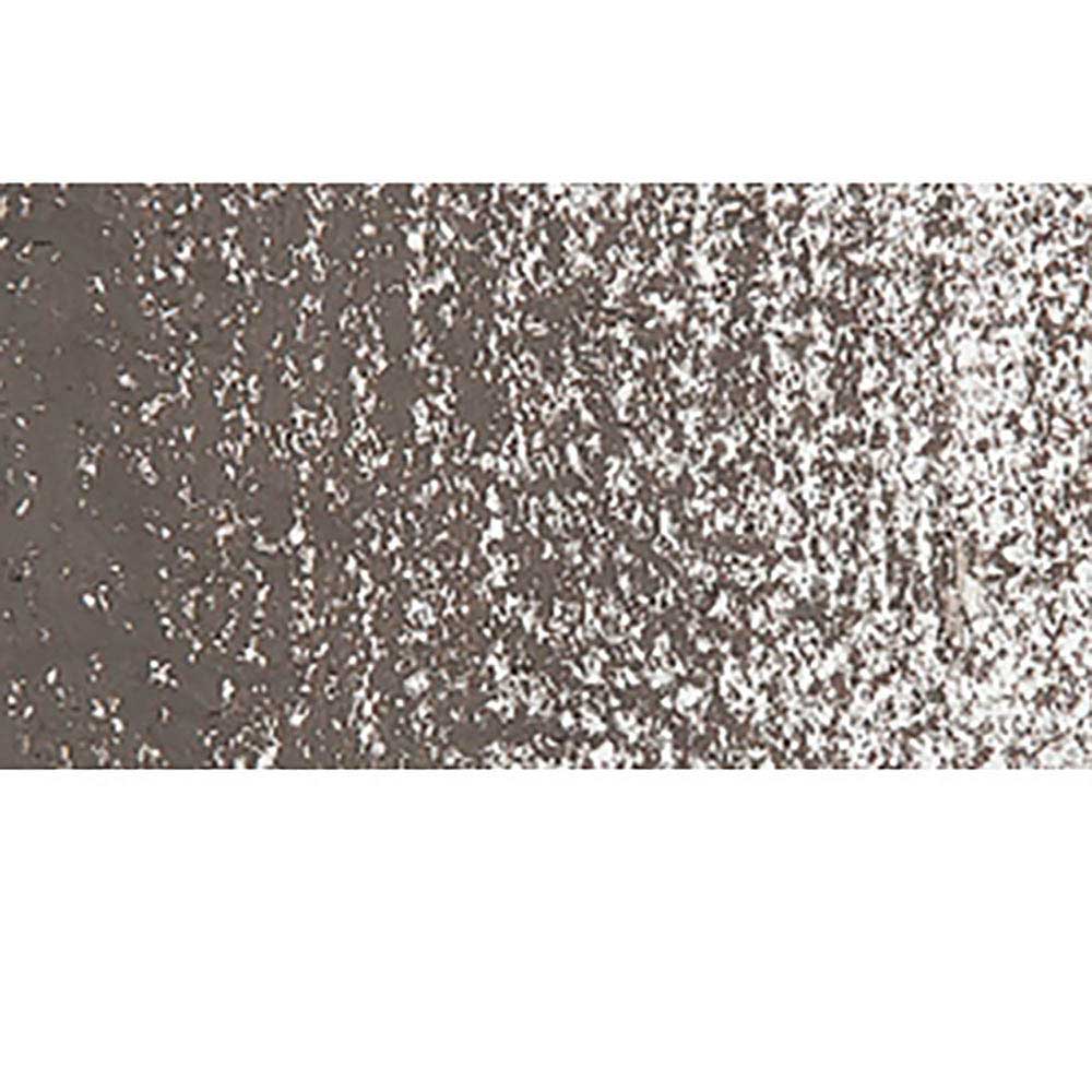 Caran d'Ache Neopastel Raw Umber 049
