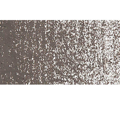 Caran d'Ache Neopastel Raw Umber 049
