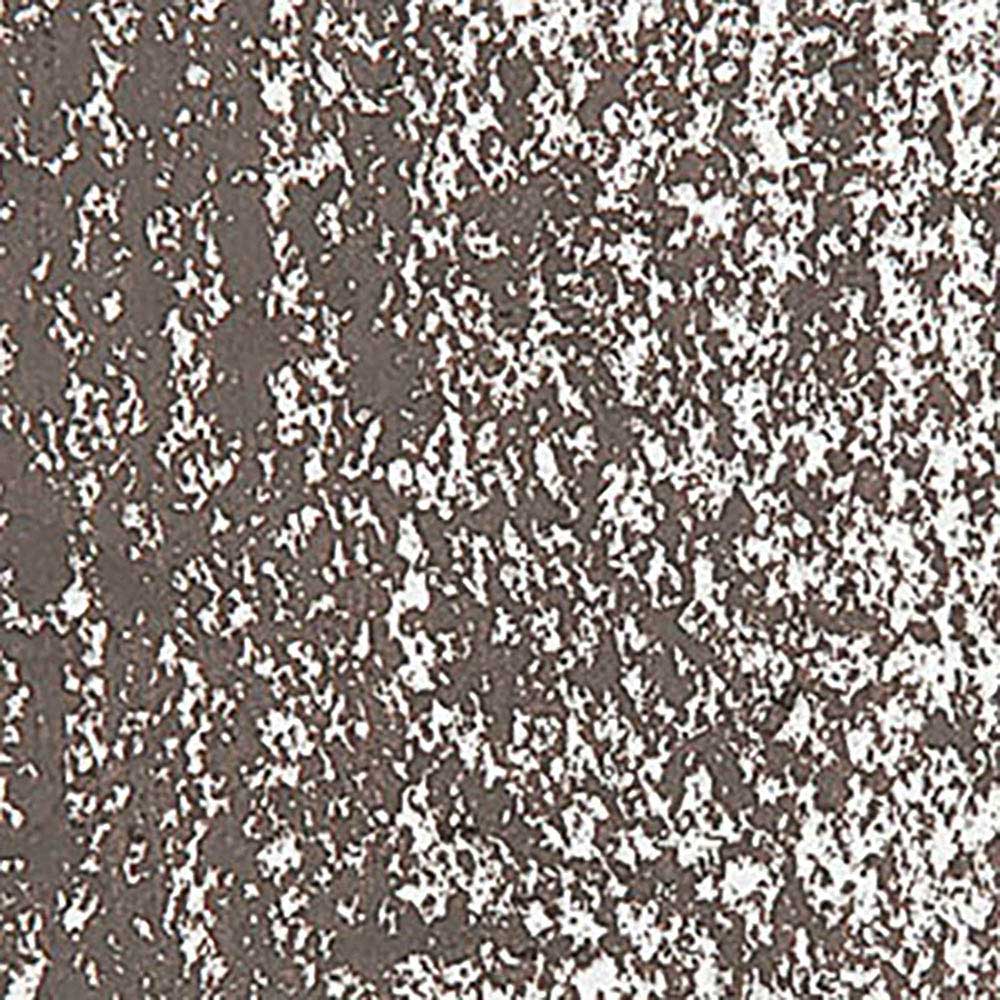 Caran d'Ache Neopastel Raw Umber 049