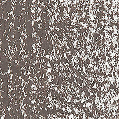 Caran d'Ache Neopastel Raw Umber 049