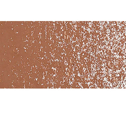 Caran d'Ache Neopastel Cinnamon 055