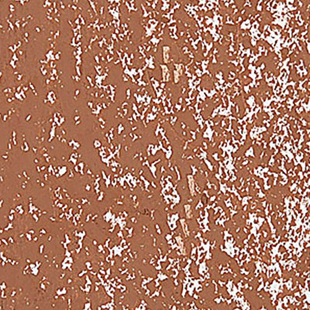 Caran d'Ache Neopastel Cinnamon 055