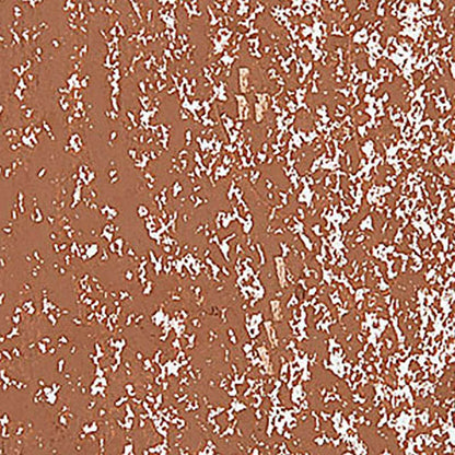 Caran d'Ache Neopastel Cinnamon 055