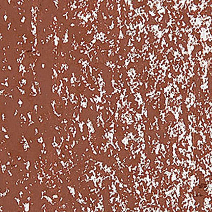Caran d'Ache Neopastel Chestnut 057