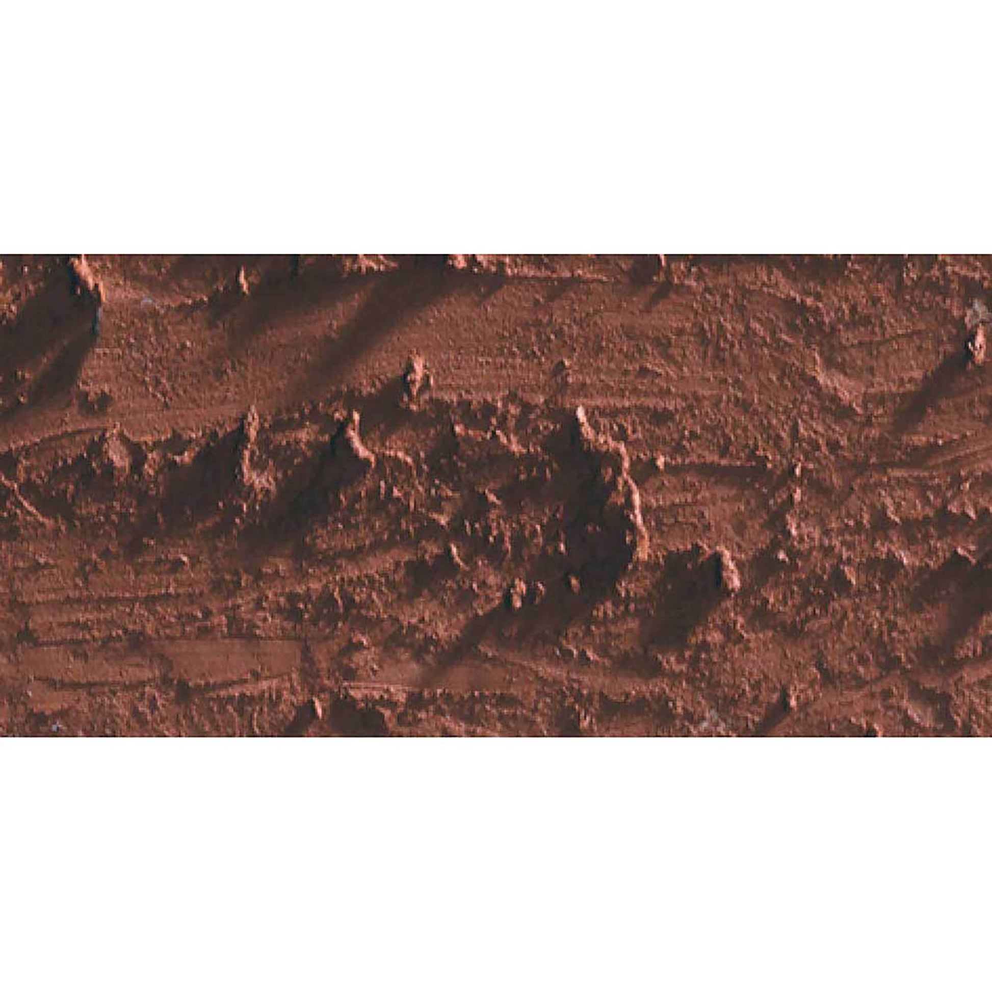 Caran d'Ache Neopastel Chestnut 057