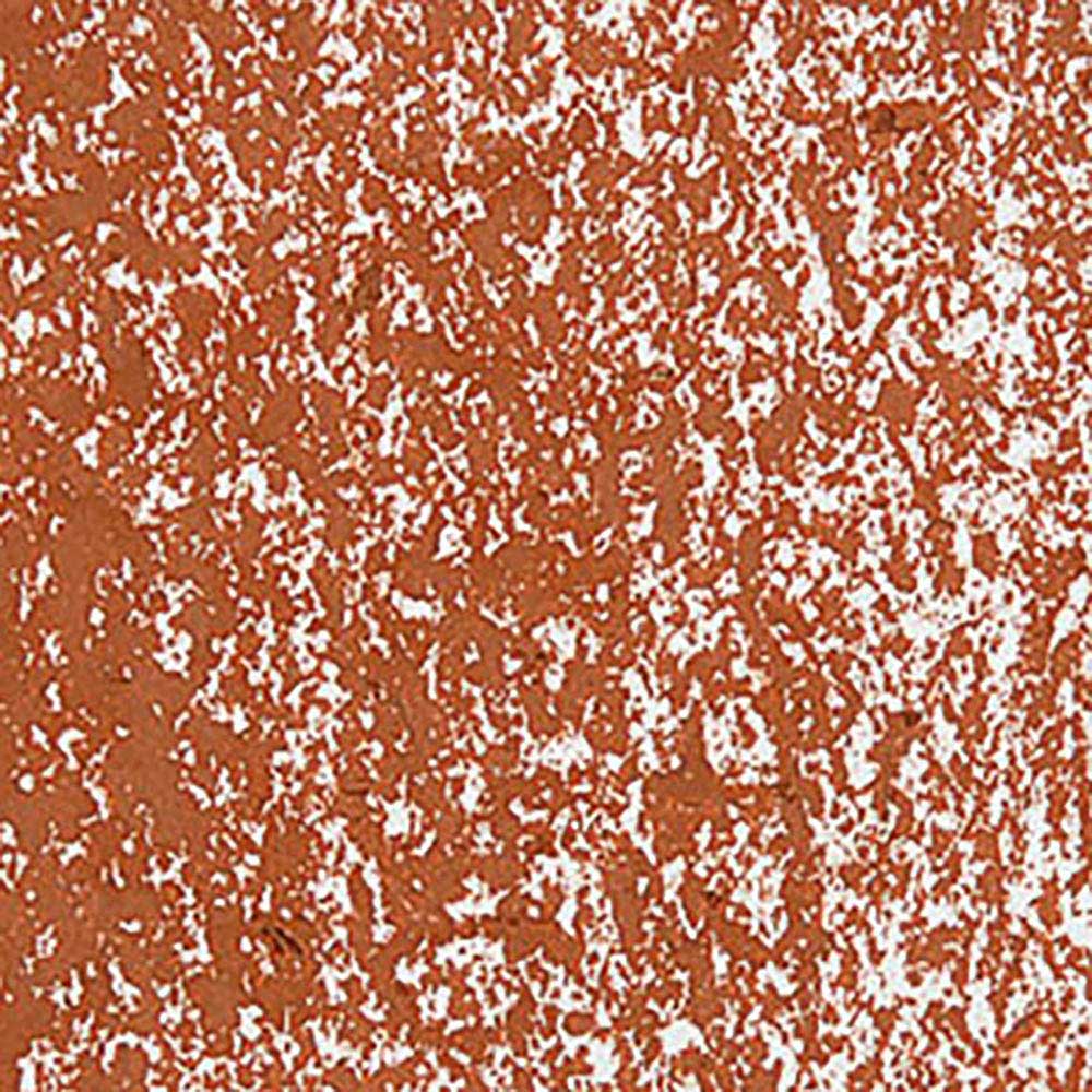 Caran d'Ache Neopastel Russet 065