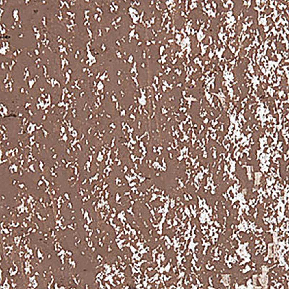 Caran d'Ache Neopastel Mahogany 067