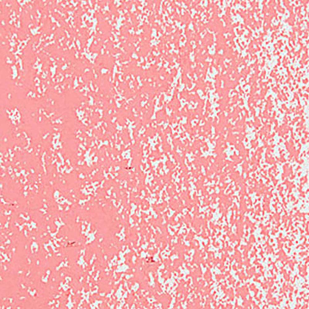 Caran d'Ache Neopastel Salmon Pink 071
