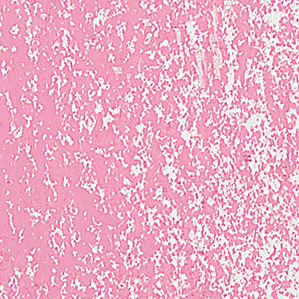 Caran d'Ache Neopastel Pink 081