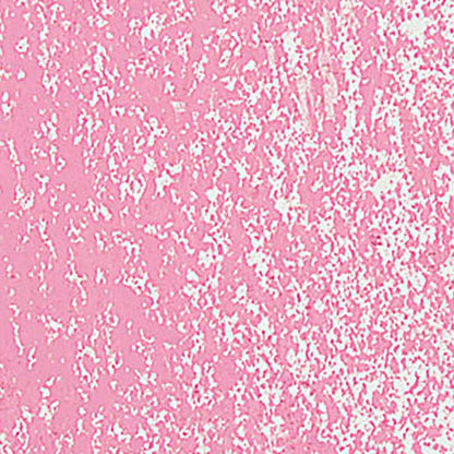 Caran d'Ache Neopastel Pink 081