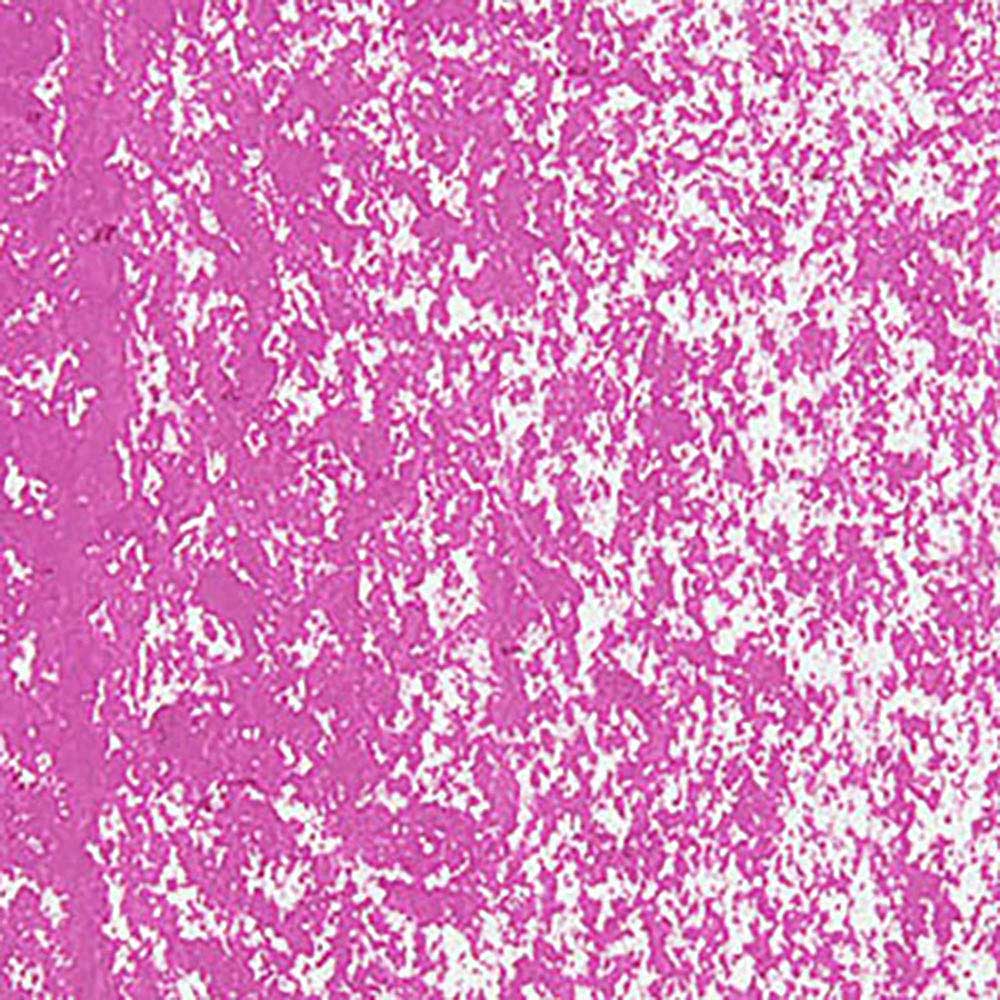 Caran d'Ache Neopastel Purple 090