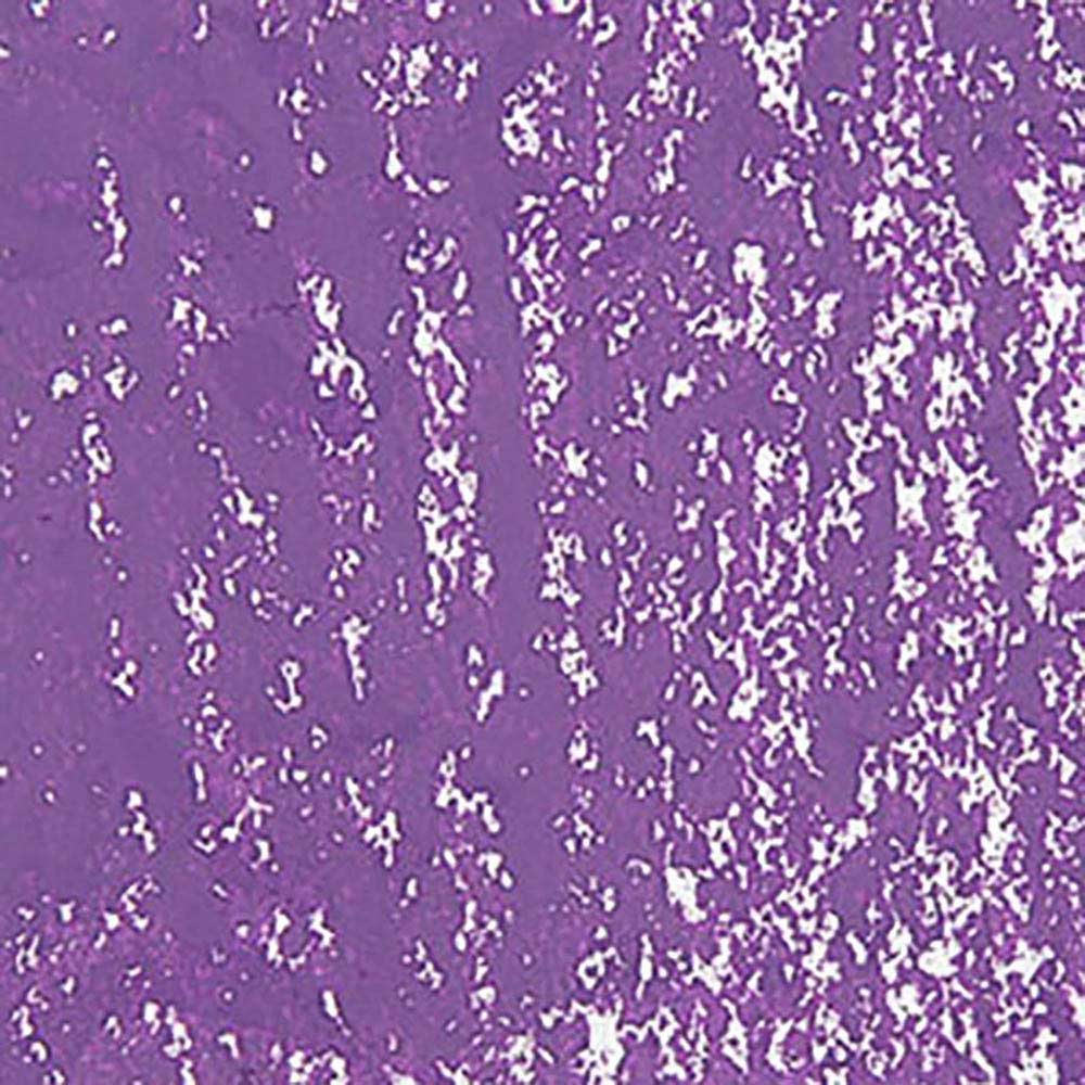 Caran d'Ache Neopastel Lilac 110