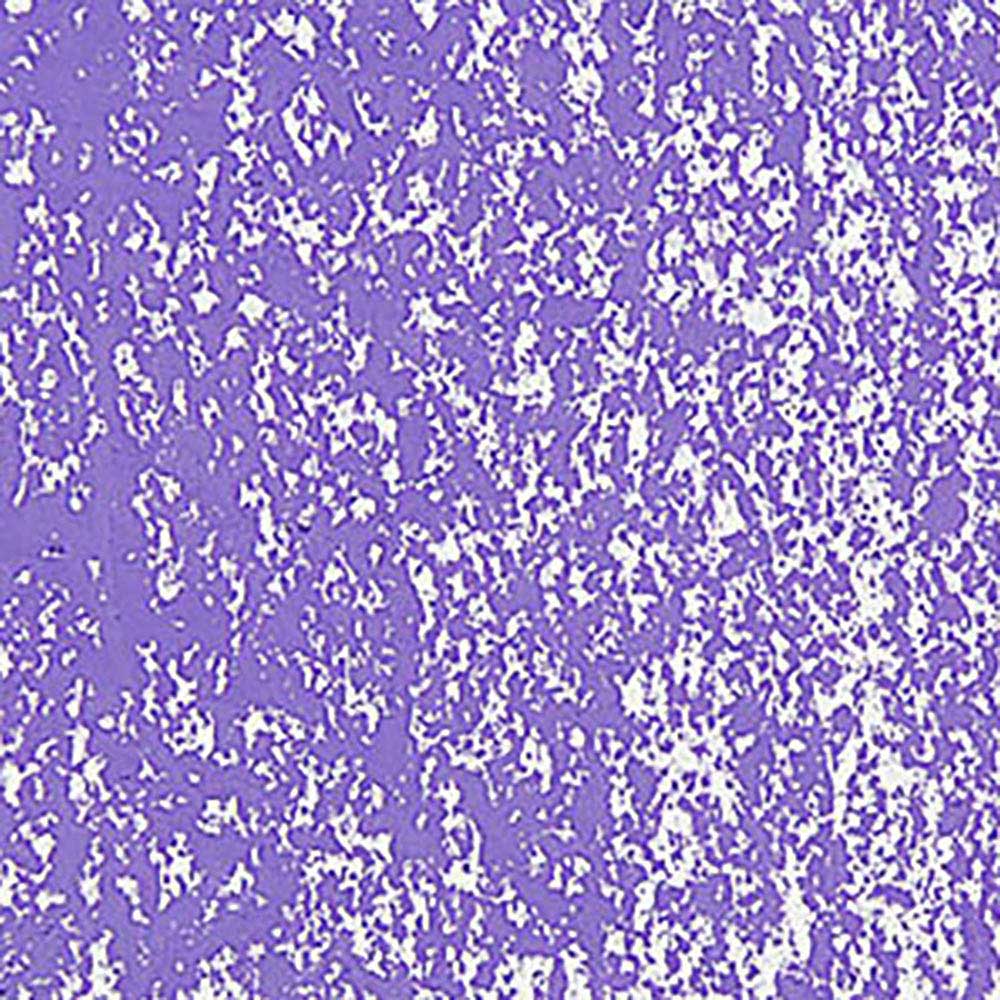 Caran d'Ache Neopastel Periwinkle Blue 131