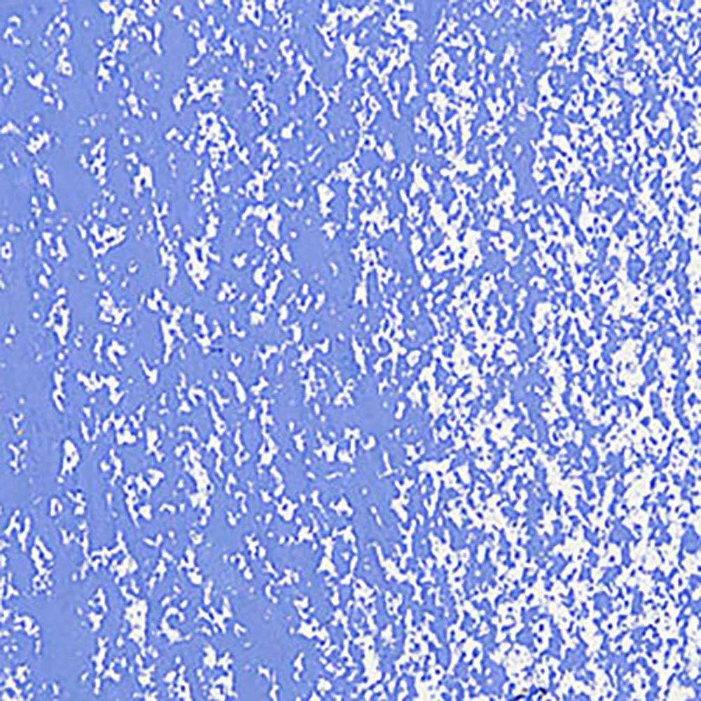 Caran d'Ache Neopastel Sky Blue 141