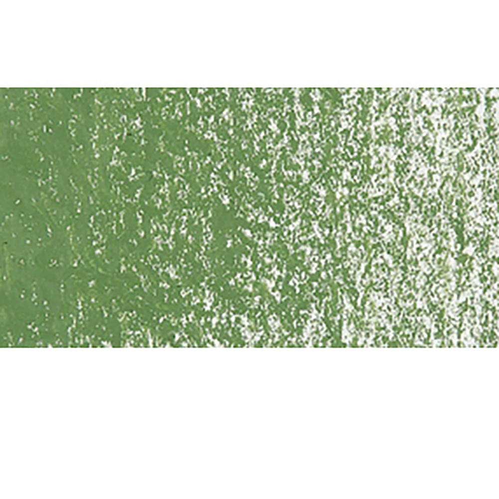 Caran d'Ache Neopastel Moss Green 225