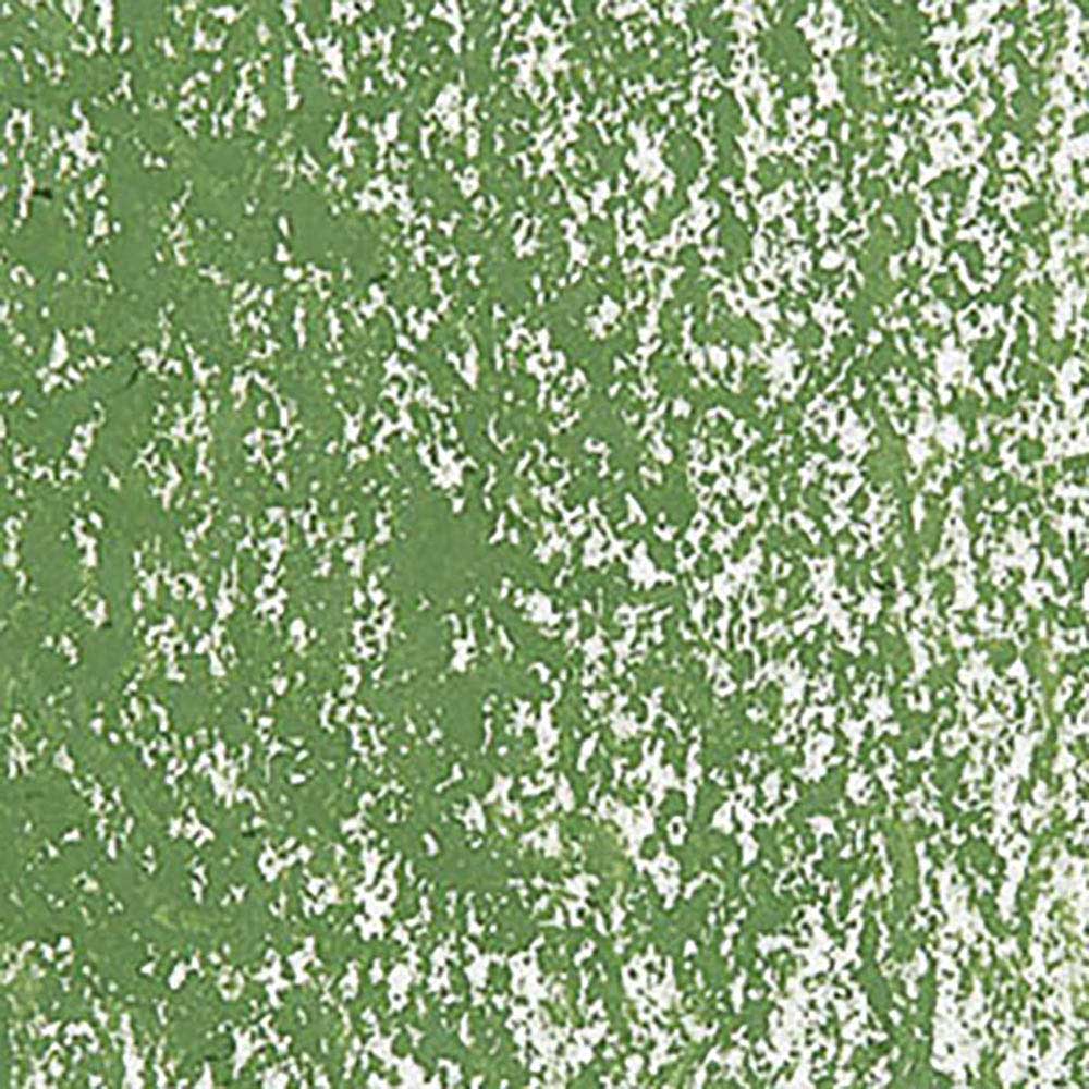 Caran d'Ache Neopastel Moss Green 225