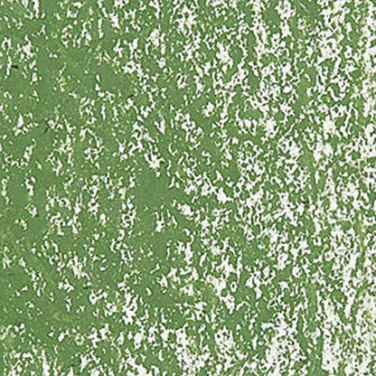 Caran d'Ache Neopastel Moss Green 225