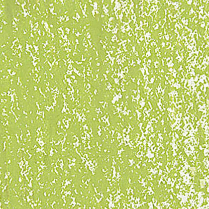 Caran d'Ache Neopastel Light Olive 245
