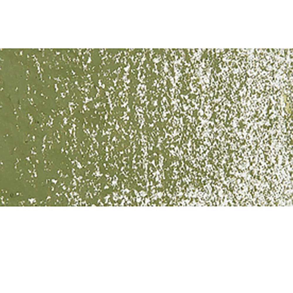 Caran d'Ache Neopastel Olive 249
