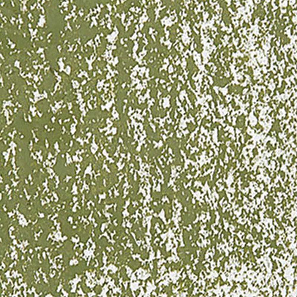 Caran d'Ache Neopastel Olive 249