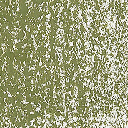 Caran d'Ache Neopastel Olive 249