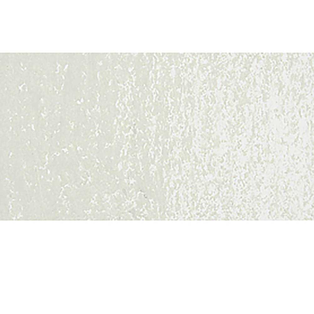 Caran d'Ache Neopastel Ash Grey 401
