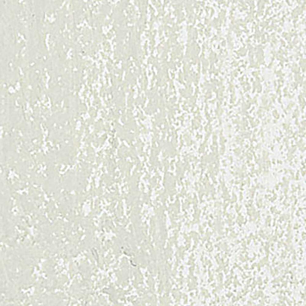 Caran d'Ache Neopastel Ash Grey 401