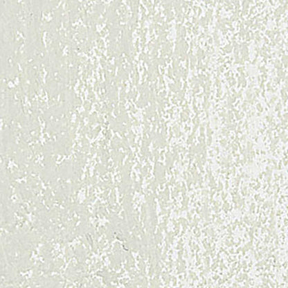 Caran d'Ache Neopastel Ash Grey 401