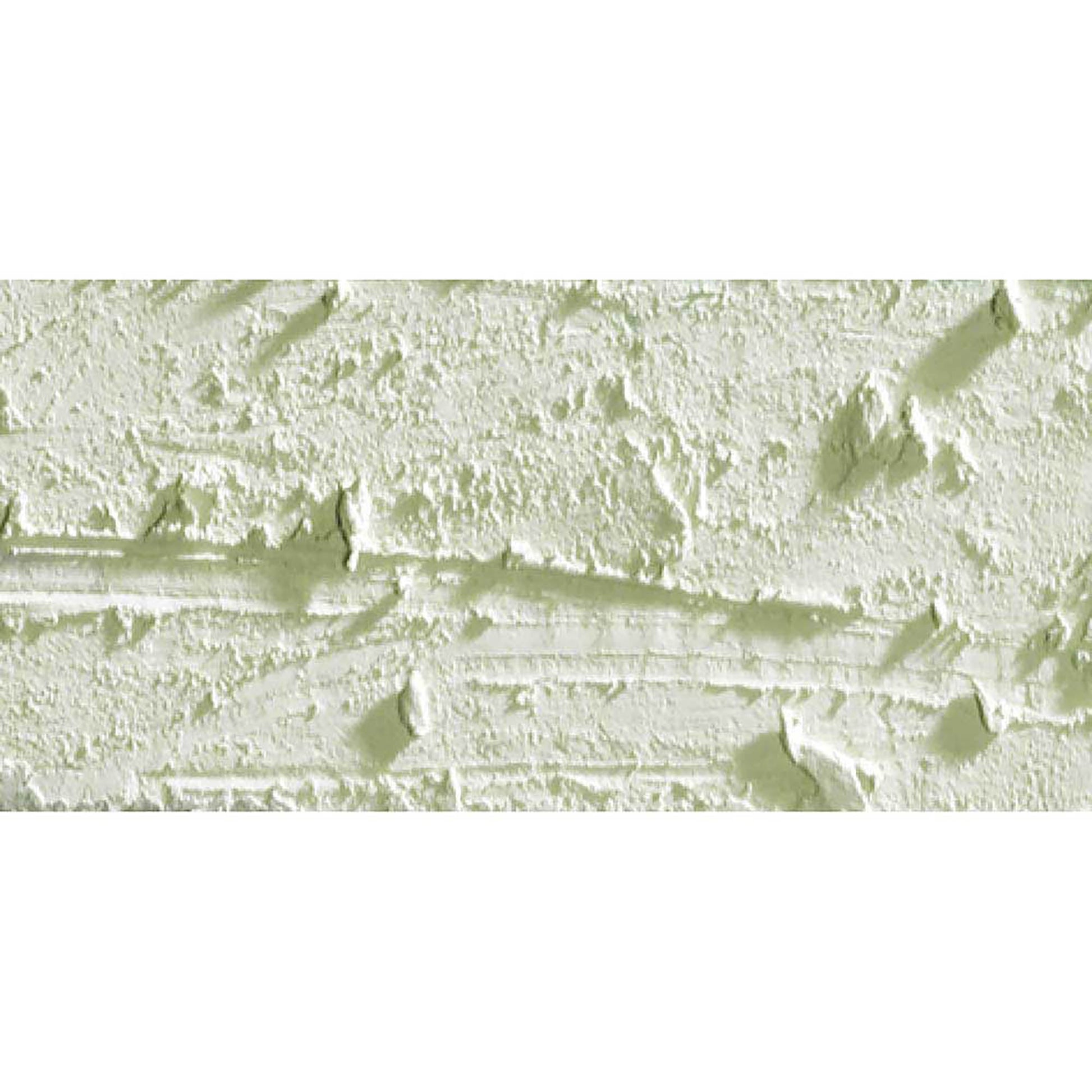 Caran d'Ache Neopastel Ash Grey 401