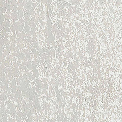 Caran d'Ache Neopastel Light Beige 402