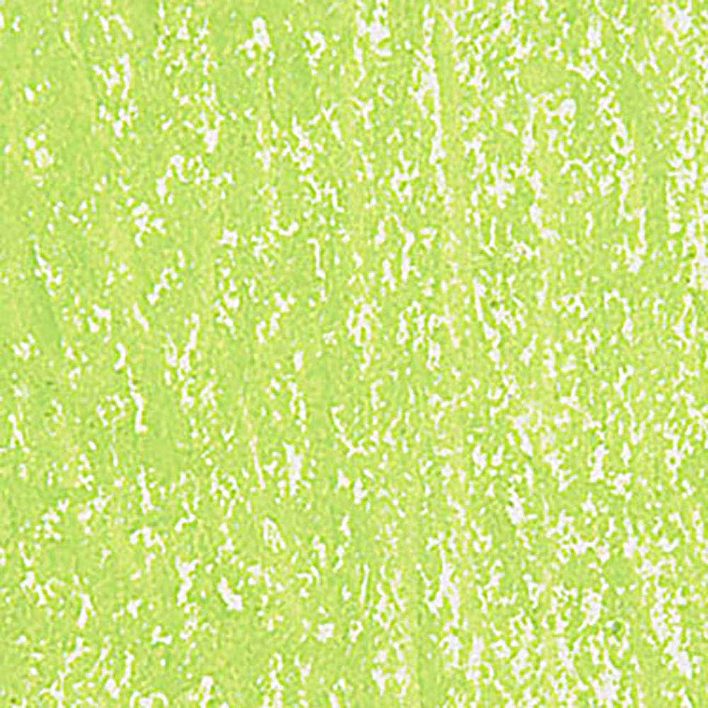 Caran d'Ache Neopastel Spring Green 470