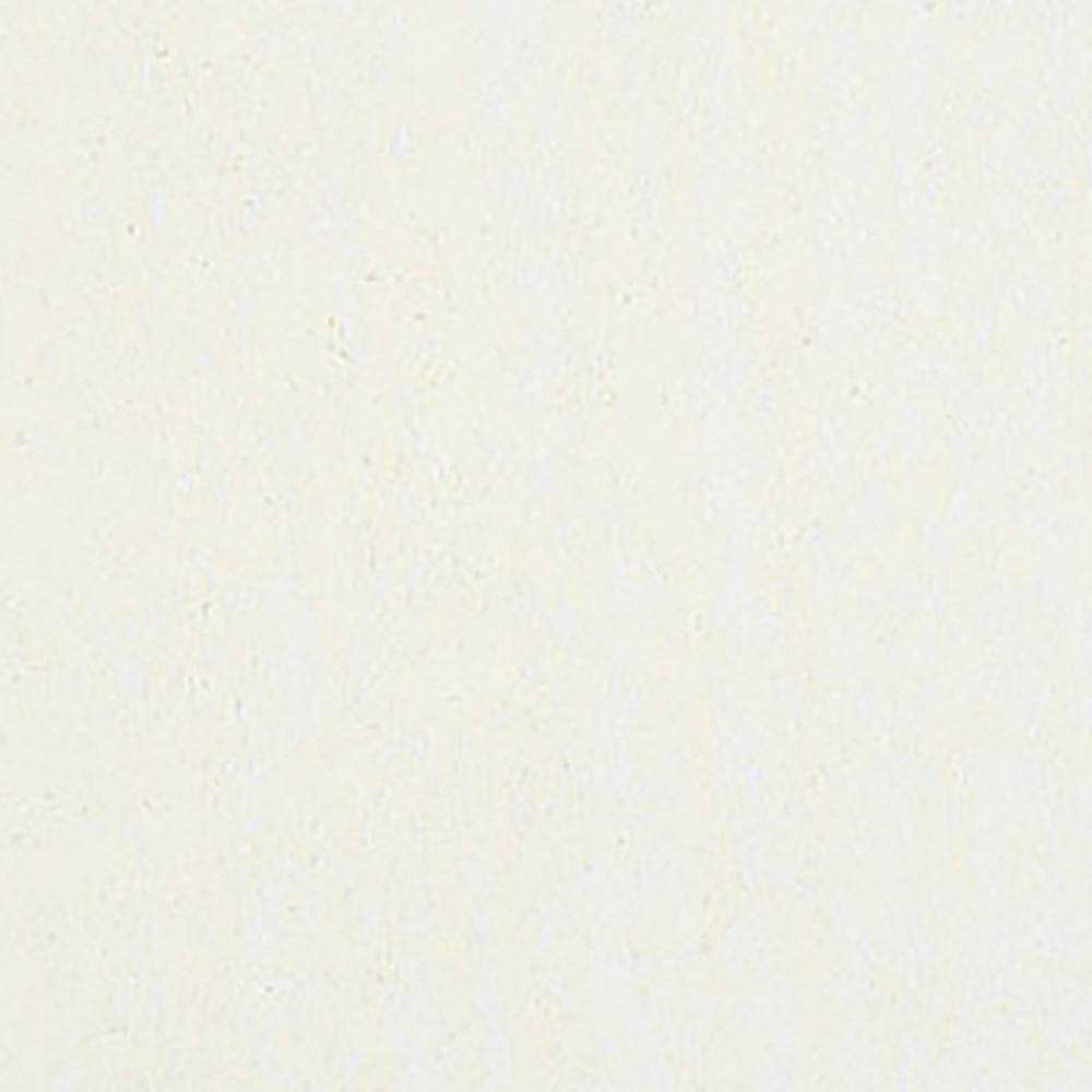 Caran d'Ache Neopastel Cream 491