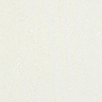 Caran d'Ache Neopastel Cream 491