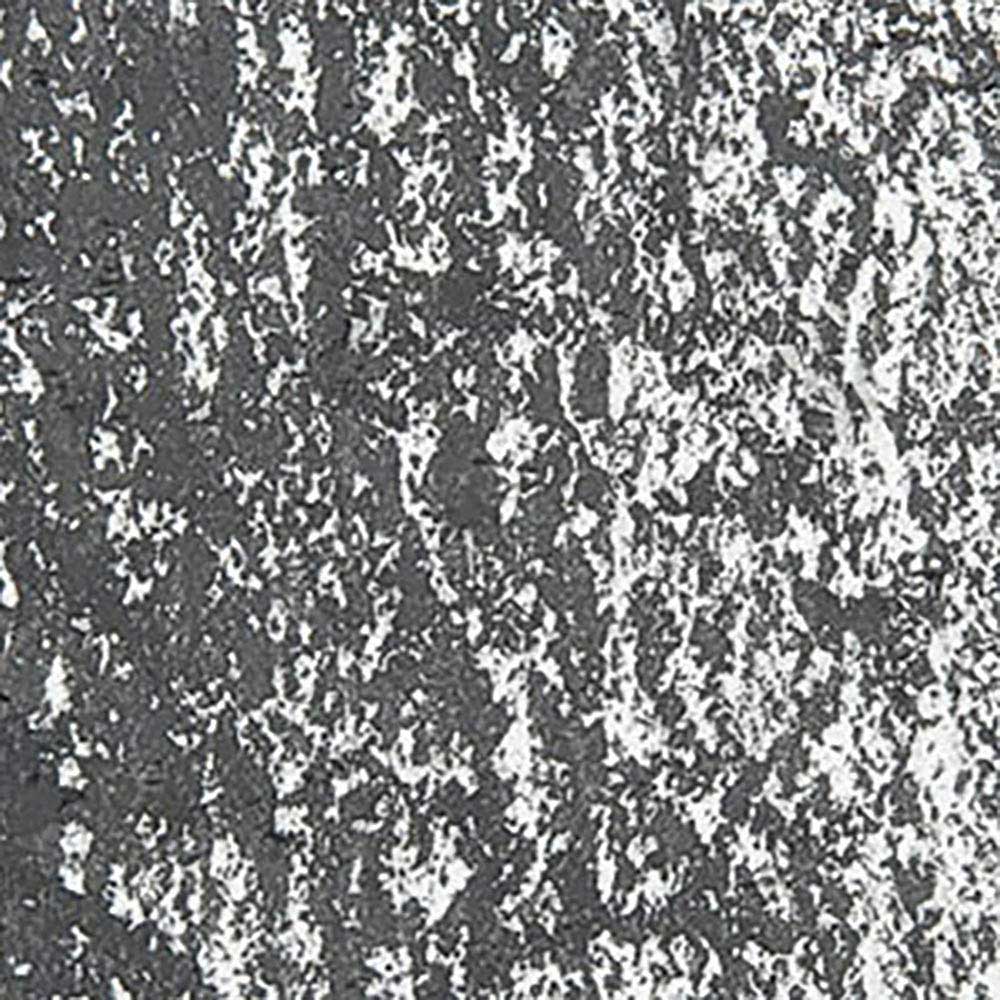 Caran d'Ache Neopastel Slate Grey 495