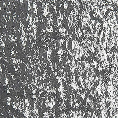 Caran d'Ache Neopastel Slate Grey 495