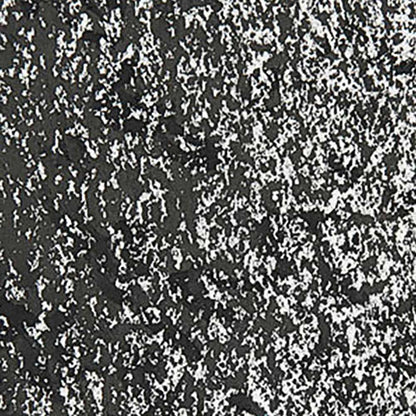 Caran d'Ache Neopastel Ivory Black 496