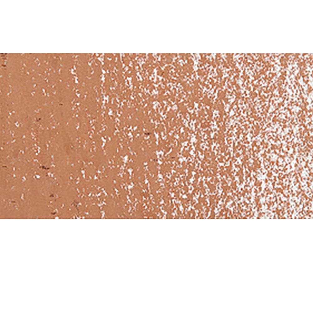 Caran d'Ache Neopastel Bronze 497