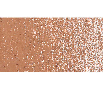 Caran d'Ache Neopastel Bronze 497