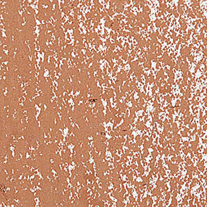 Caran d'Ache Neopastel Bronze 497