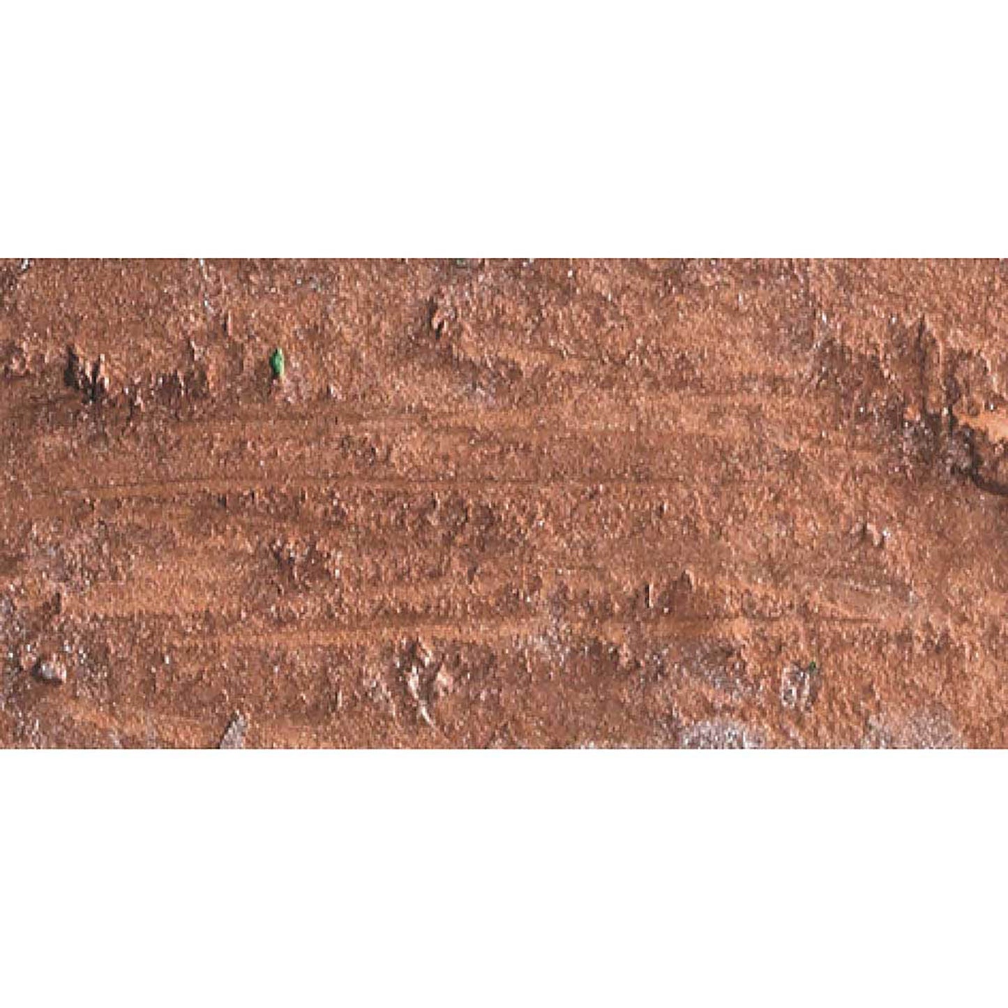 Caran d'Ache Neopastel Bronze 497