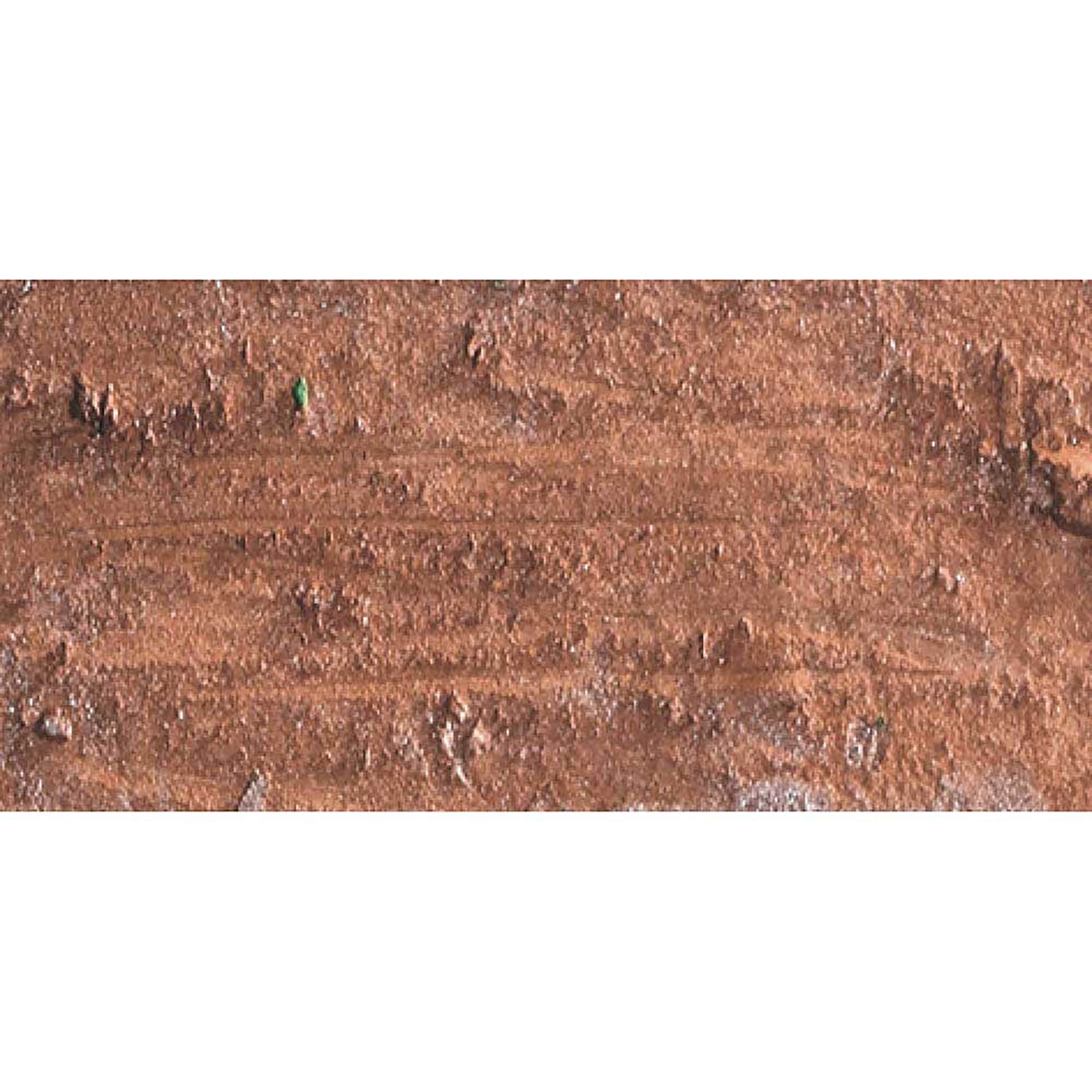 Caran d'Ache Neopastel Bronze 497