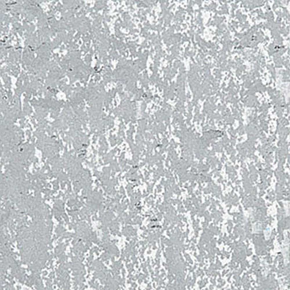 Caran d'Ache Neopastel Silver 498