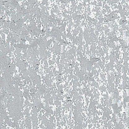Caran d'Ache Neopastel Silver 498