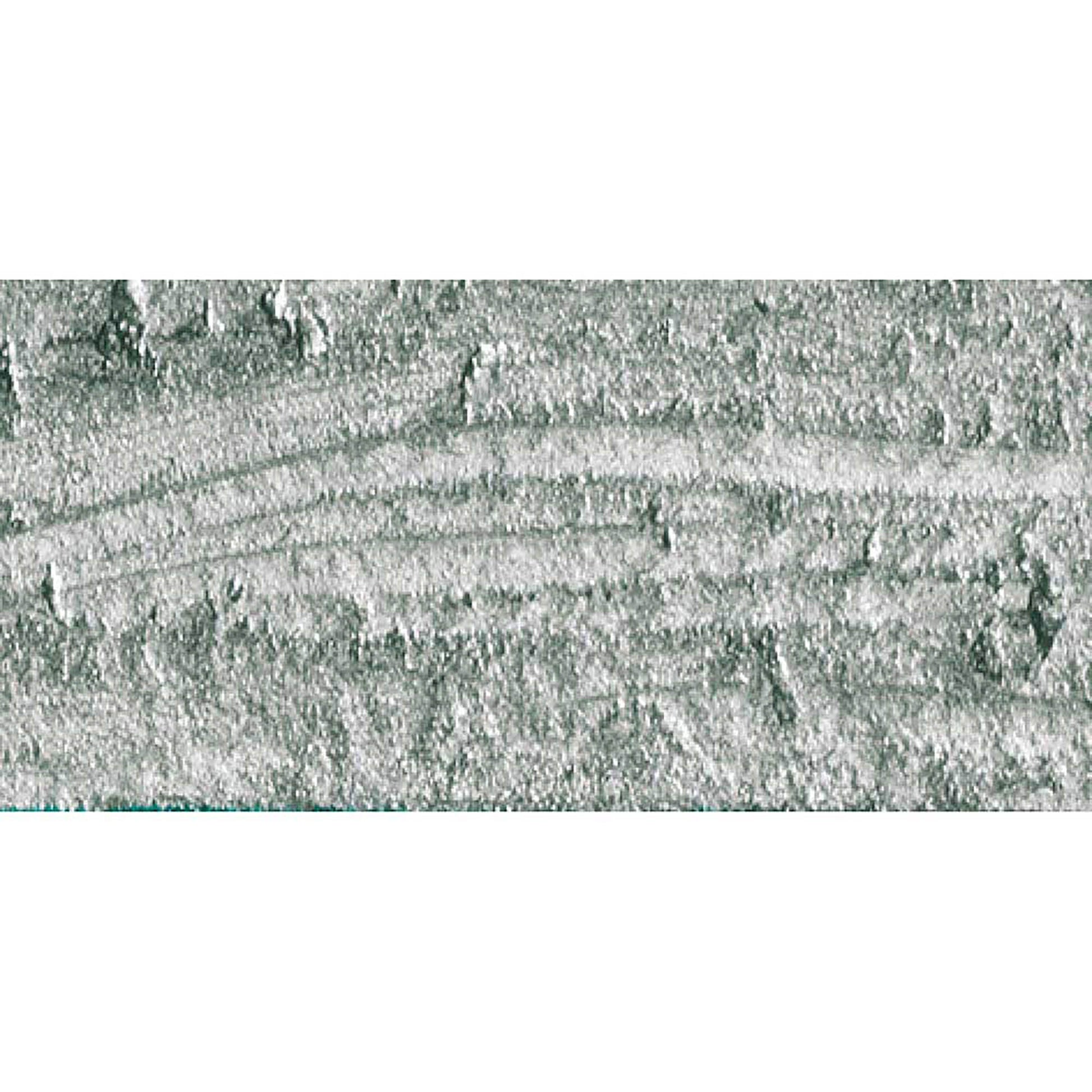 Caran d'Ache Neopastel Silver 498