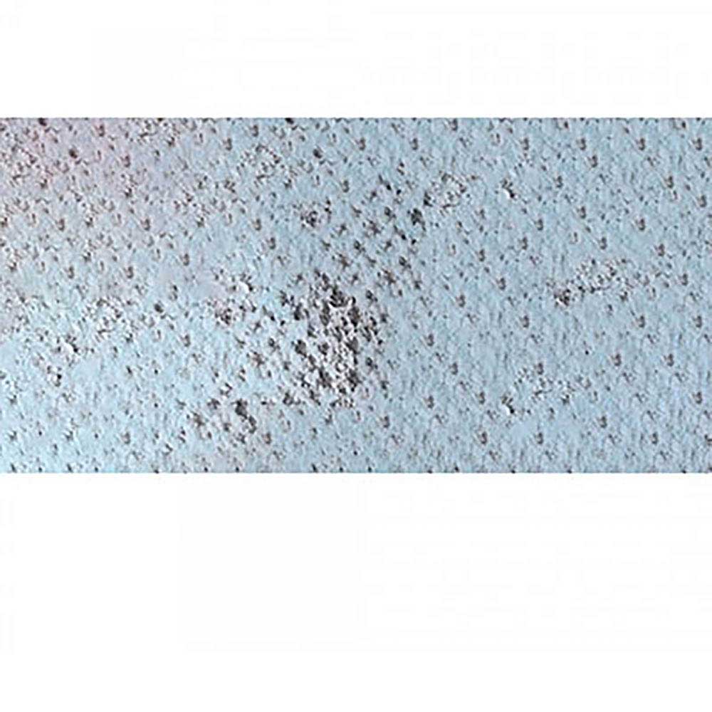 Caran d'Ache Pastel Pencil Silver Grey 002