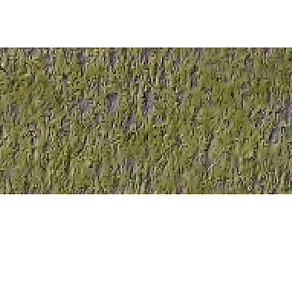 Caran d'Ache Pastel Pencil Light Reseda 017